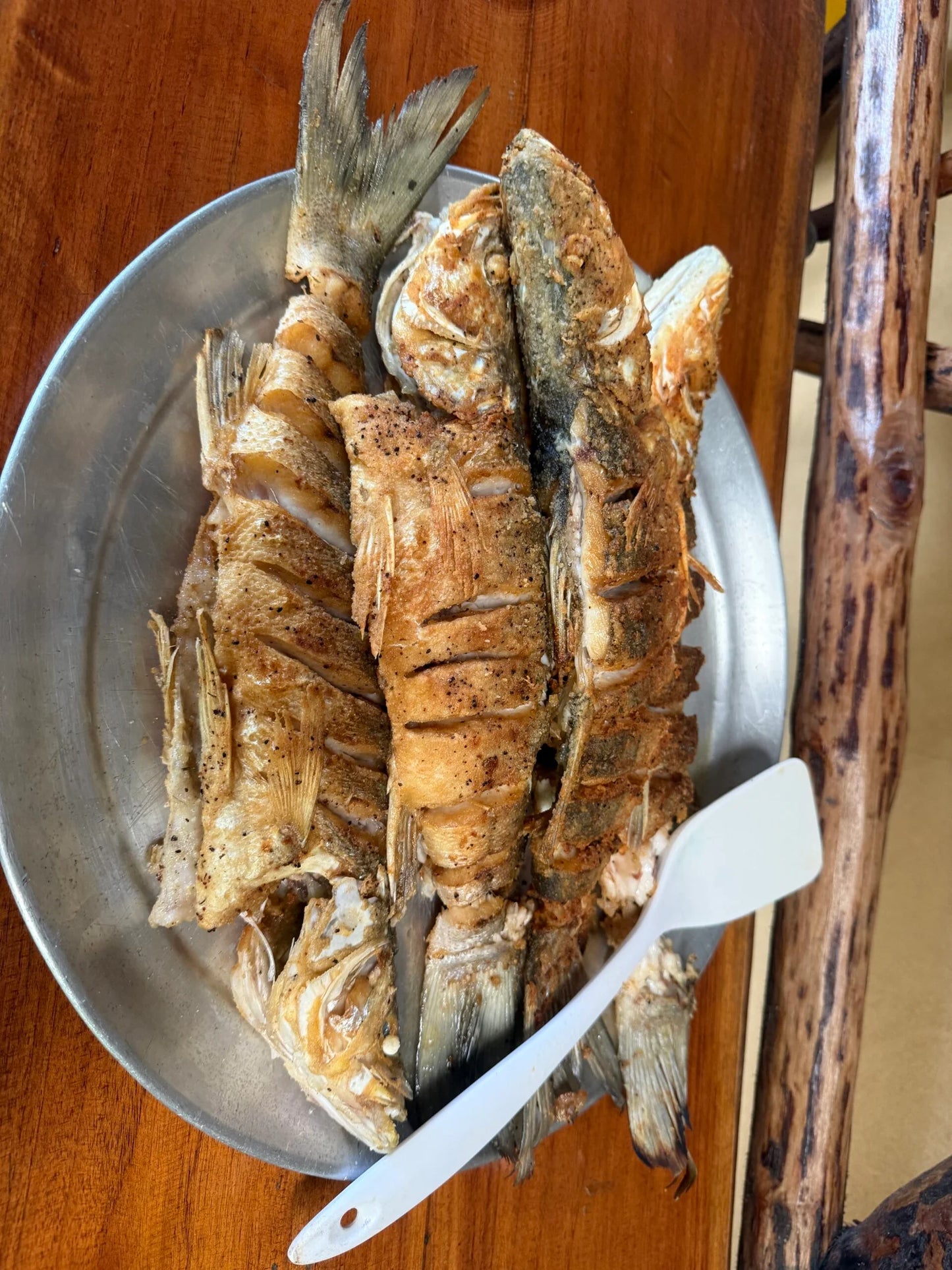 Costa Rica, 8-DAY Lodge-to-lodge Golfo Dulce