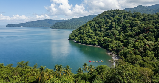 Costa Rica, 8-DAY Lodge-to-lodge Golfo Dulce