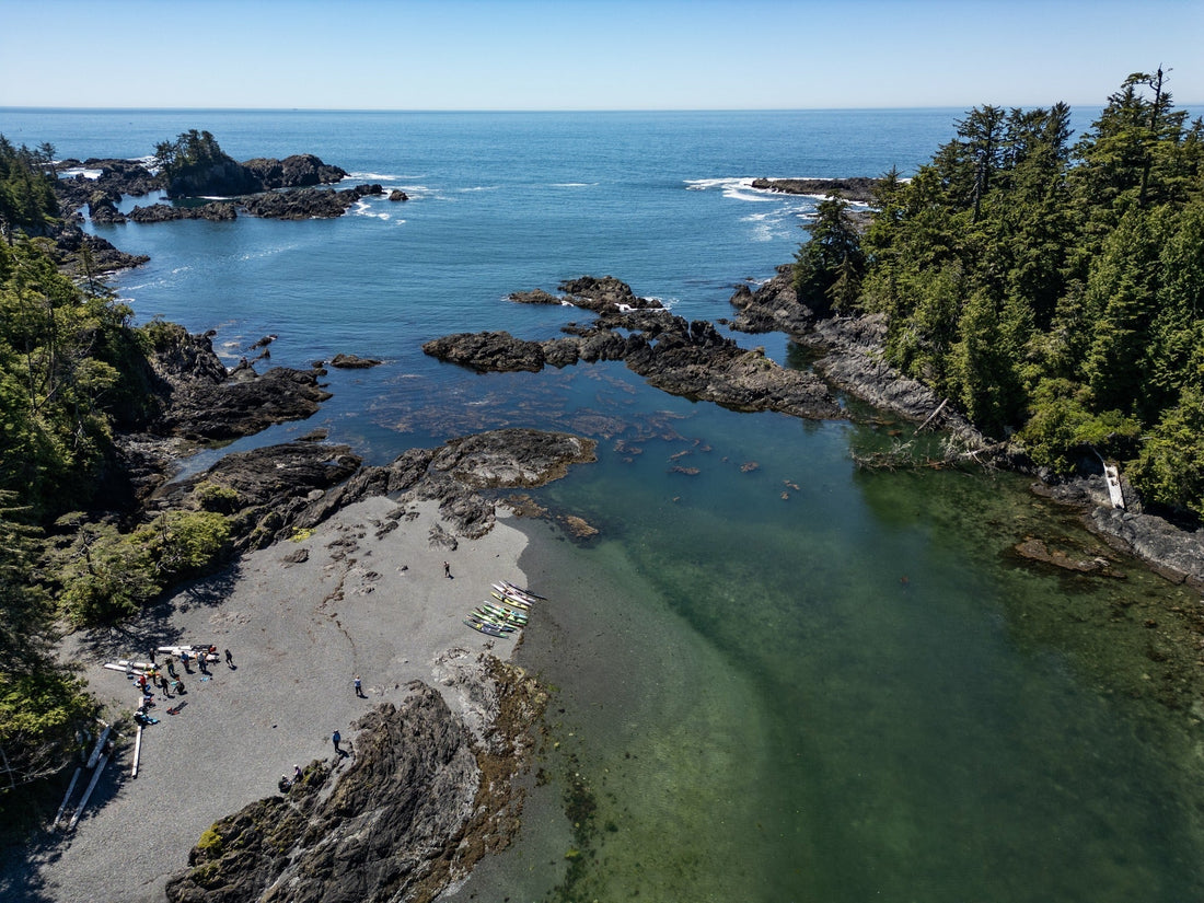 The Power of Bringing People Together