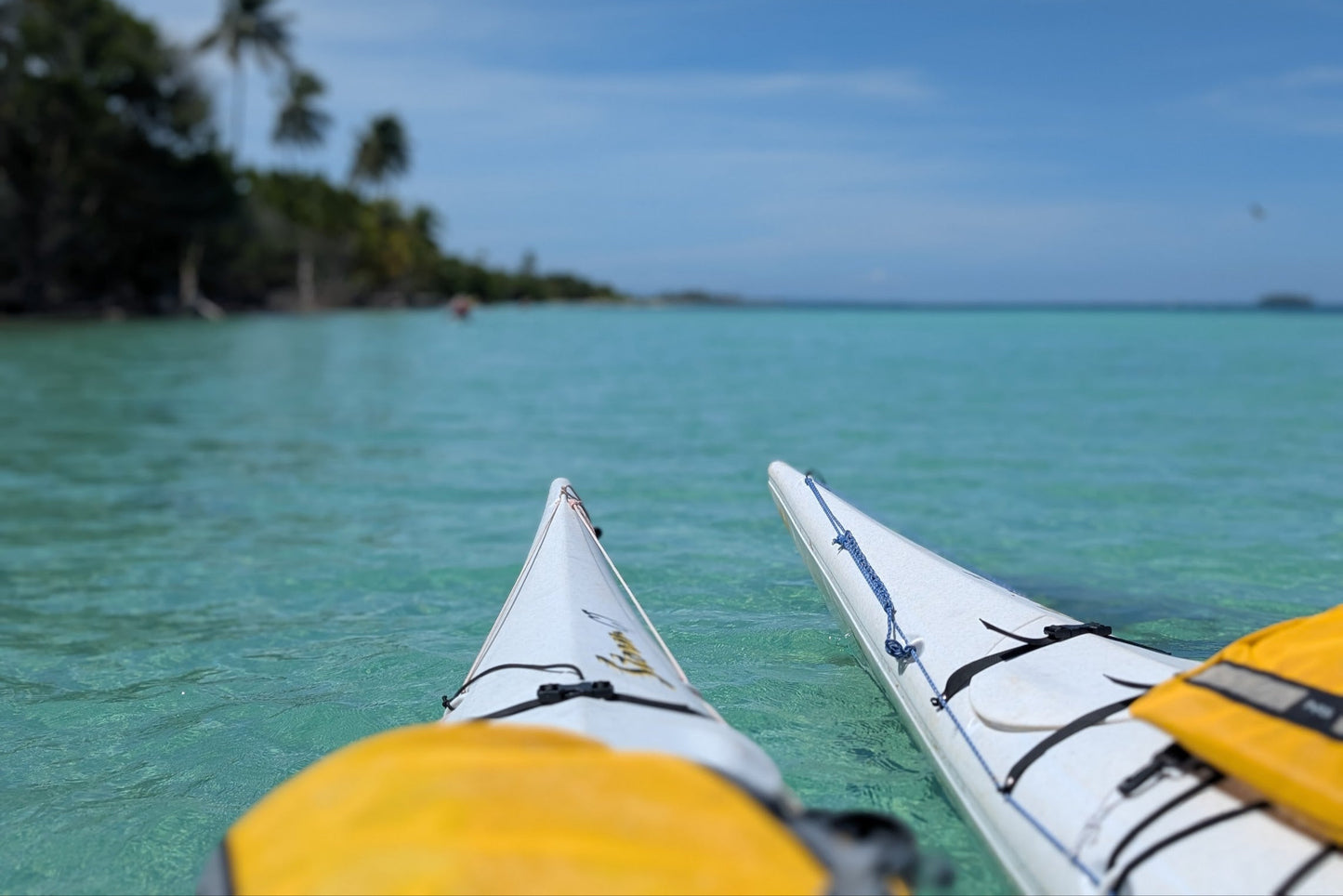 Costa Rica, 8-DAY Lodge-to-lodge Golfo Dulce