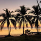 Costa Rica, 8-DAY Lodge-to-lodge Golfo Dulce