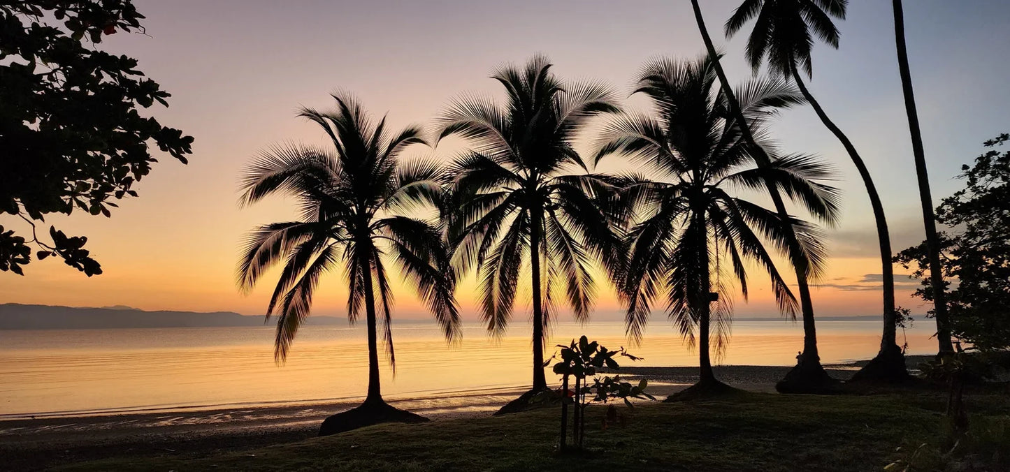 Costa Rica, 8-DAY Lodge-to-lodge Golfo Dulce