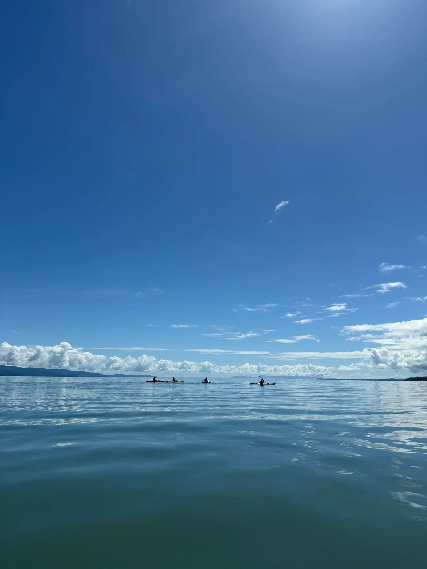 Costa Rica, 8-DAY Lodge-to-lodge Golfo Dulce