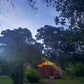 Costa Rica, 8-DAY Lodge-to-lodge Golfo Dulce