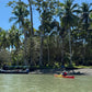 Costa Rica, 8-DAY Lodge-to-lodge Golfo Dulce