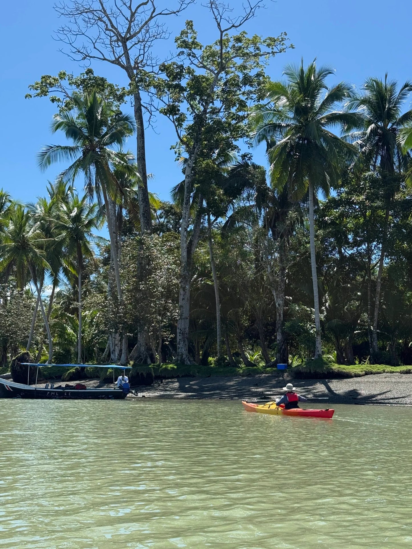 Costa Rica, 8-DAY Lodge-to-lodge Golfo Dulce