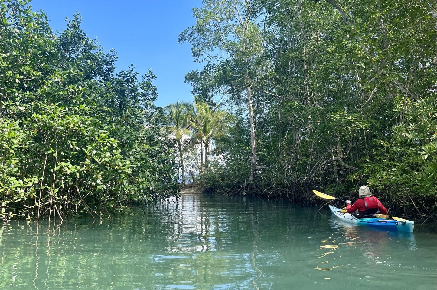 Costa Rica, 8-DAY Lodge-to-lodge Golfo Dulce