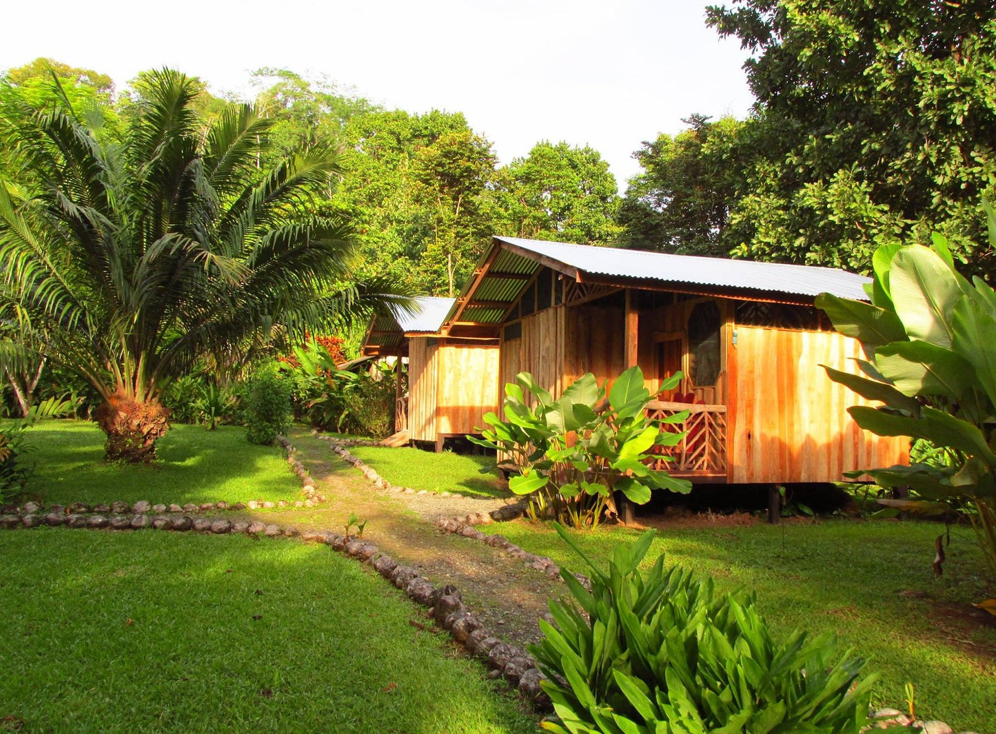 Costa Rica, 8-DAY Lodge-to-lodge Golfo Dulce