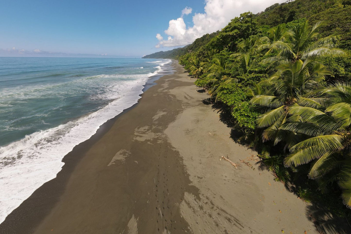 Costa Rica, 8-DAY Lodge-to-lodge Golfo Dulce